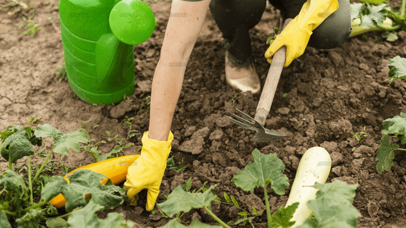 demo-attachment-56-2674674-1