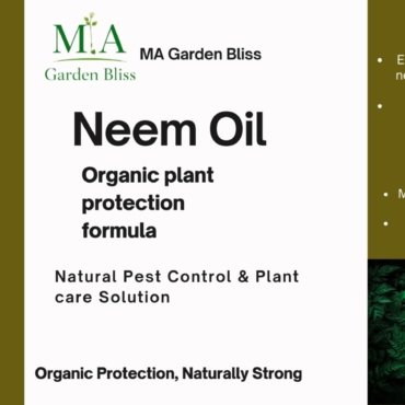 WhatsApp Image 2026-03-27 at 03.11.23