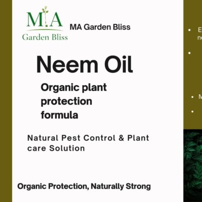 WhatsApp Image 2026-03-27 at 03.11.23