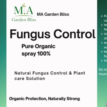 WhatsApp Image 2026-03-27 at 03.11.24 (1)