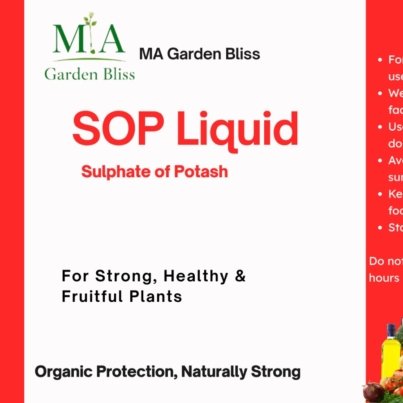 WhatsApp Image 2026-03-27 at 03.11.24 (3)