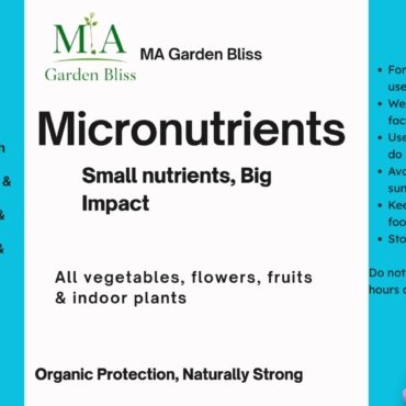 WhatsApp Image 2026-03-27 at 03.11.24