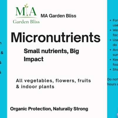 WhatsApp Image 2026-03-27 at 03.11.24