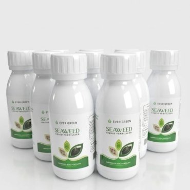 WhatsApp Image 2026-03-27 at 03.15.49