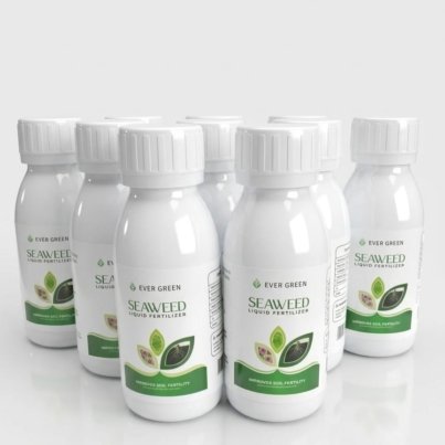 WhatsApp Image 2026-03-27 at 03.15.49