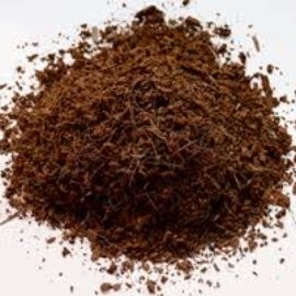 coco 1
